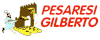 Scheda Azienda PESARESI GILBERTO srl