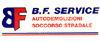 Scheda Azienda B.F. SERVICE srl