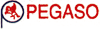 Scheda Azienda PEGASO soc. coop. r.l.