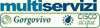 Scheda Azienda MULTISERVIZI spa