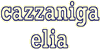 Scheda Azienda CAZZANIGA ELIA snc di PIETRO CAZZANIGA & C.