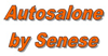 Company Sheet AUTOSALONE BY SENESE SALTRIO AUTOSALONE SENESE SALTRIO snc