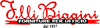 Scheda Azienda F.LLI BIAGINI srl