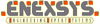 Company Sheet ENEXSYS srl