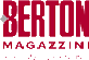 Scheda Azienda MAGAZZINI BERTON srl