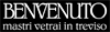 Company Sheet BENVENUTO MASTRI VETRAI IN TREVISO di BENVENUTO VITTORIO