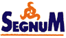 Company Sheet SEGNUM srl
