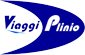 Scheda Azienda VIAGGI PLINIO