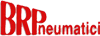 Scheda Azienda B.R. PNEUMATICI spa