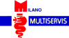 Company Sheet MILANO MULTISERVIS srl