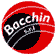 Company Sheet BACCHIN srl