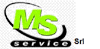 Company Sheet MS SERVICE
