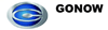 Company Sheet GONOW - INGRAUTO srl
