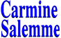 Scheda Azienda CARMINE SALEMME srl
