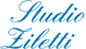Company Sheet STUDIO ZILETTI srl - AGENZIA IMMOBILIARE