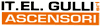 Company Sheet IT.EL. GULLI srl