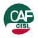 Scheda Azienda CAF CISL CAAF CISL srl SEDE NAZIONALE