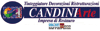 Company Sheet CANDINI ARTE srl