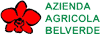 Scheda Azienda AZIENDA AGRICOLA BELVERDE
