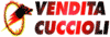 Scheda Azienda CINOFILA FOLGORE VENDITA CUCCIOLI di CLAUDIO GAMBAROTTO