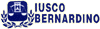 Company Sheet IUSCO BERNARDINO BILANCE