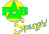 Company Sheet PAB SPURGHI snc di SAN MARTIN ROBERTO & C.
