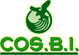 Company Sheet COSBI srl