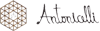 Scheda Azienda ANTONICELLI srl