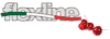 Scheda Azienda FLEX LINE srl