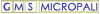 Company Sheet G.M.S. MICROPALI srl