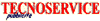 Company Sheet TECNOSERVICE - TELEREGIONE
