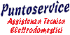 Scheda Azienda PUNTOSERVICE srl