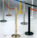 Scheda Azienda OMB srl - JOLLY TAPE COLONNINE TENDINASTRO