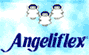 Company Sheet ANGELIFLEX srl