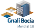 Scheda Azienda GNALI BOCIA srl