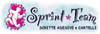 Scheda Azienda SPRINT TEAM di LORENZELLI PAOLA