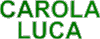 Company Sheet CAROLA LUCA