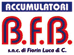 Company Sheet B.F.B. di FIORIN LUCA & C. snc