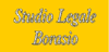 Scheda Azienda STUDIO LEGALE AVV. PAOLO BORASIO