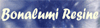Company Sheet BONALUMI RESINE snc
