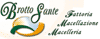 Scheda Azienda BROTTO SANTE srl