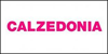 Scheda Azienda CALZEDONIA della ELEVEN srl