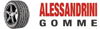 Scheda Azienda ALESSANDRINI GOMME di ALESSANDRINI WALTER & C. snc