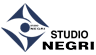 Company Sheet STUDIO NEGRI E ASSOCIATI
