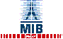 Scheda Azienda MIB ITALIANA spa