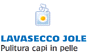 Company Sheet LAVASECCO JOLE di FANTUZZI MORENA