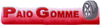 Scheda Azienda PAIO GOMME di FLAVIO COLTURI