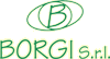 Company Sheet BORGI srl