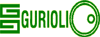 Company Sheet GURIOLI sas