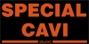 Company Sheet SPECIAL CAVI sas